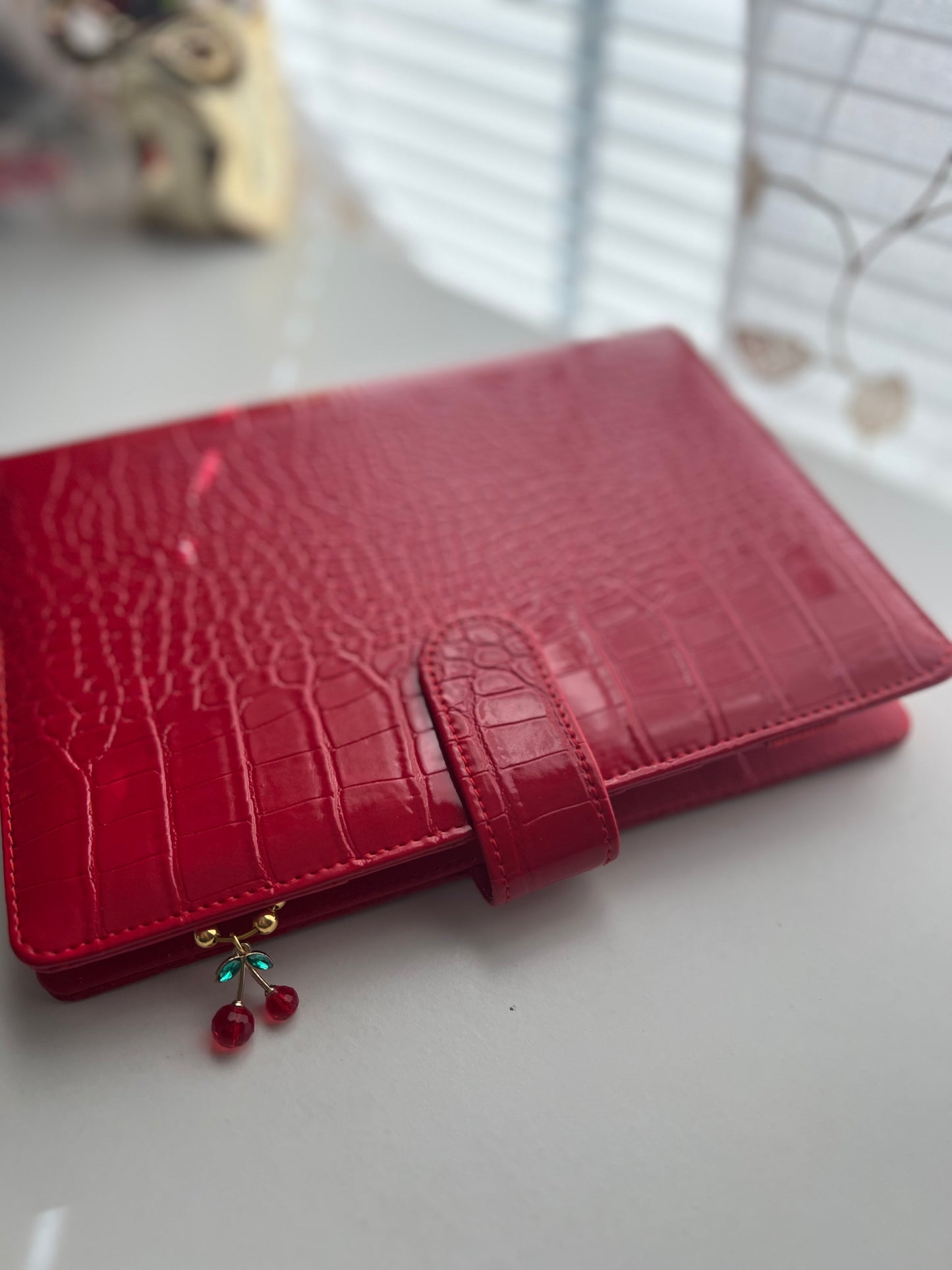 Emergency Fund Savings Binder