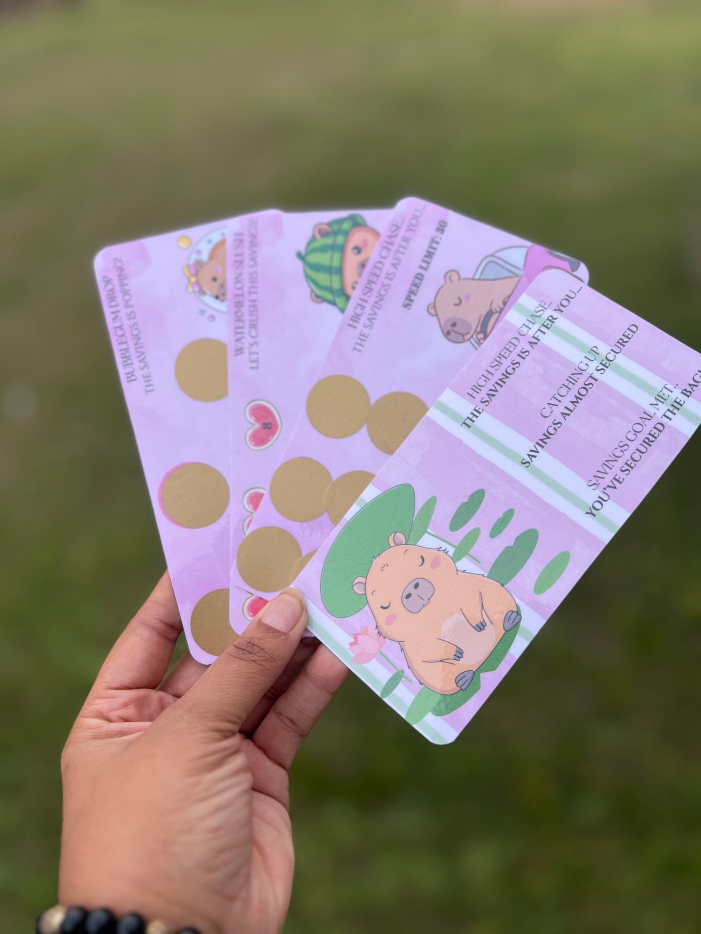 Chasing Savings Bundle