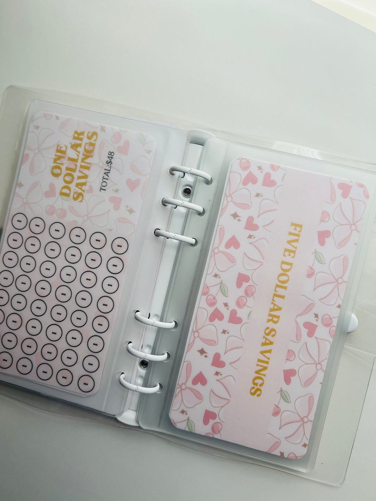 Denomination Savings Challenge Binder