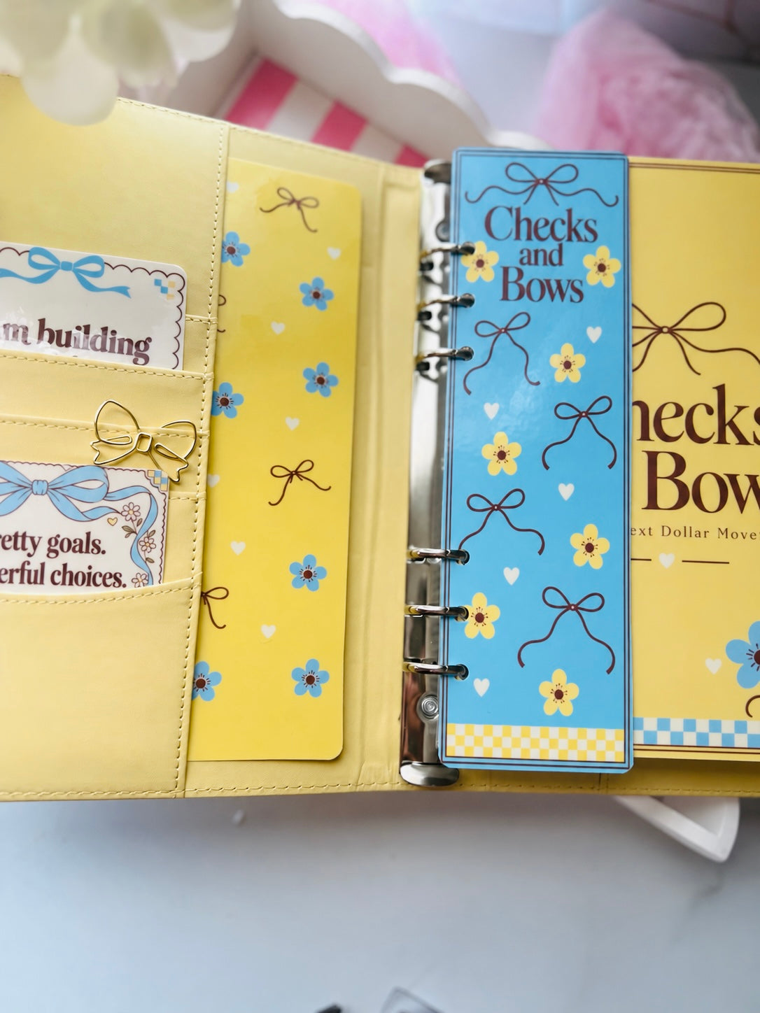 100 Bows and Checks Binder