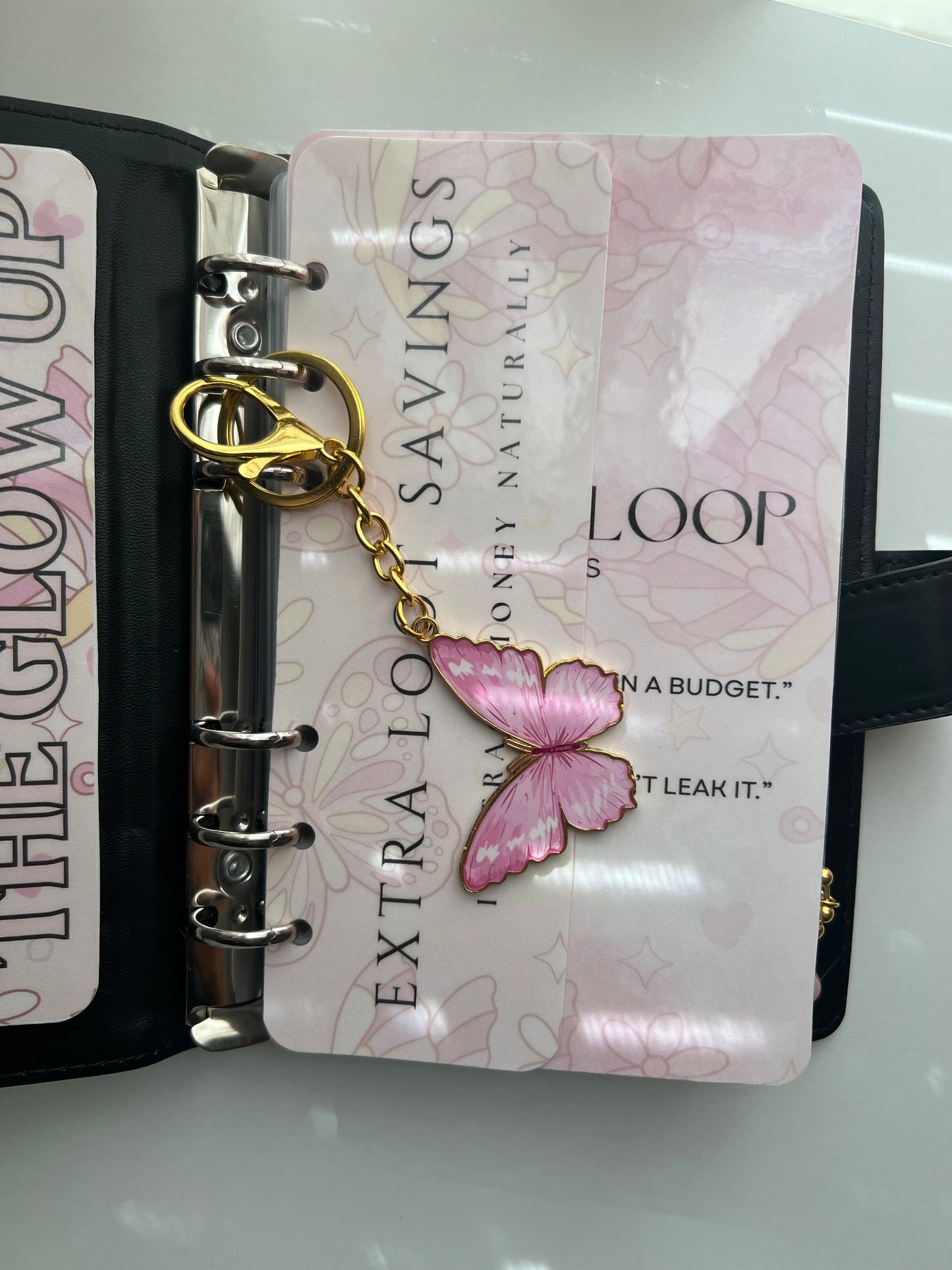 Little Loot Savings Binder