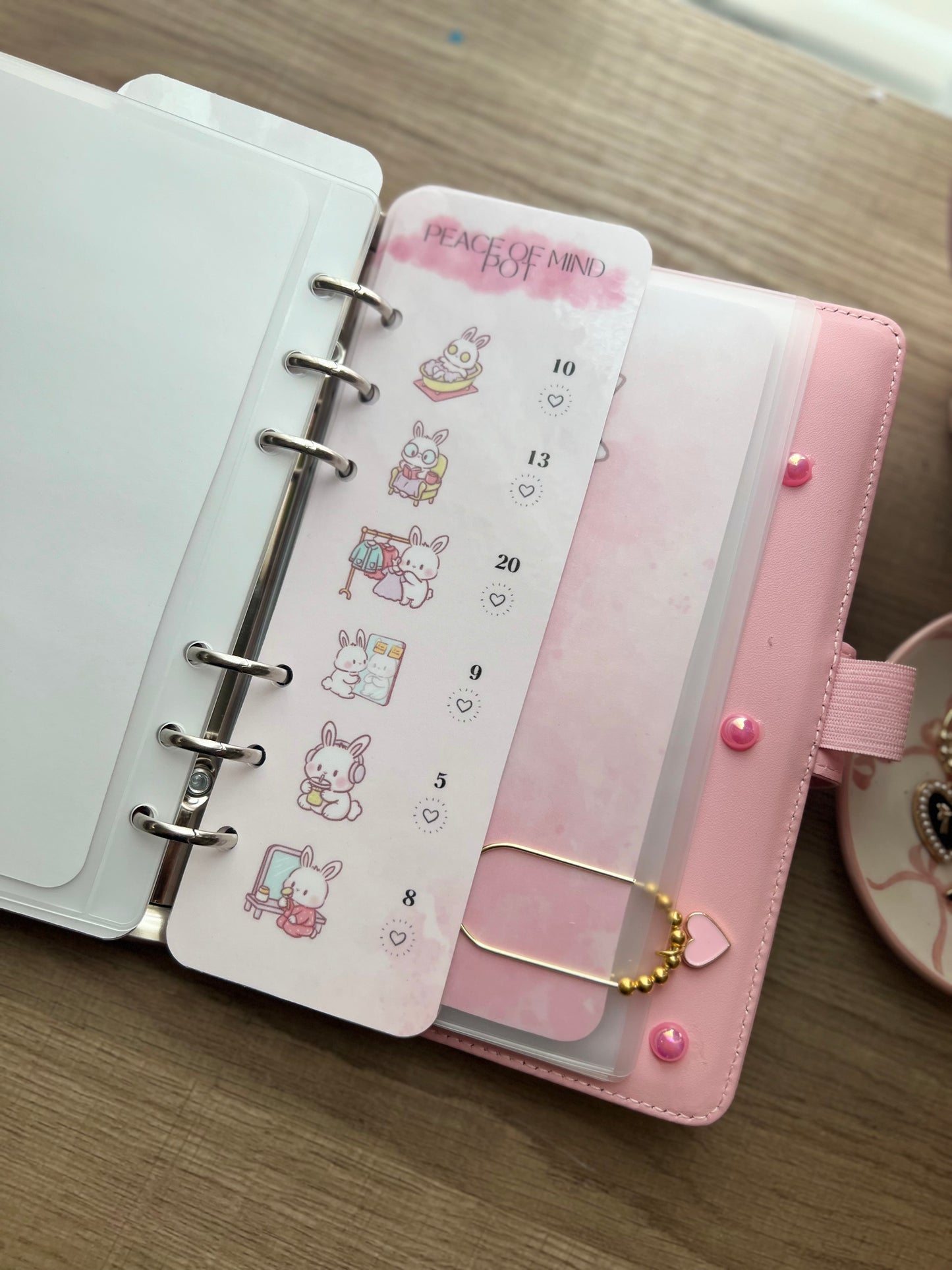 Kashflow Savings Club Binder