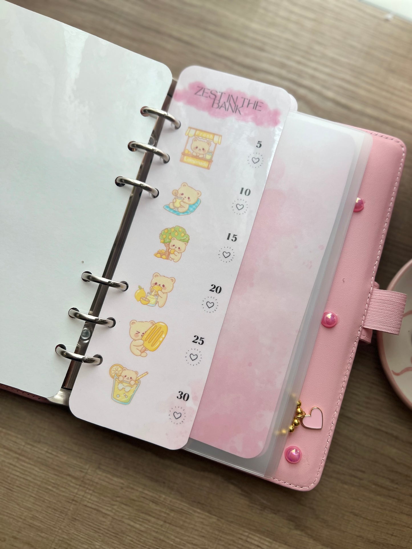 Kashflow Savings Club Binder