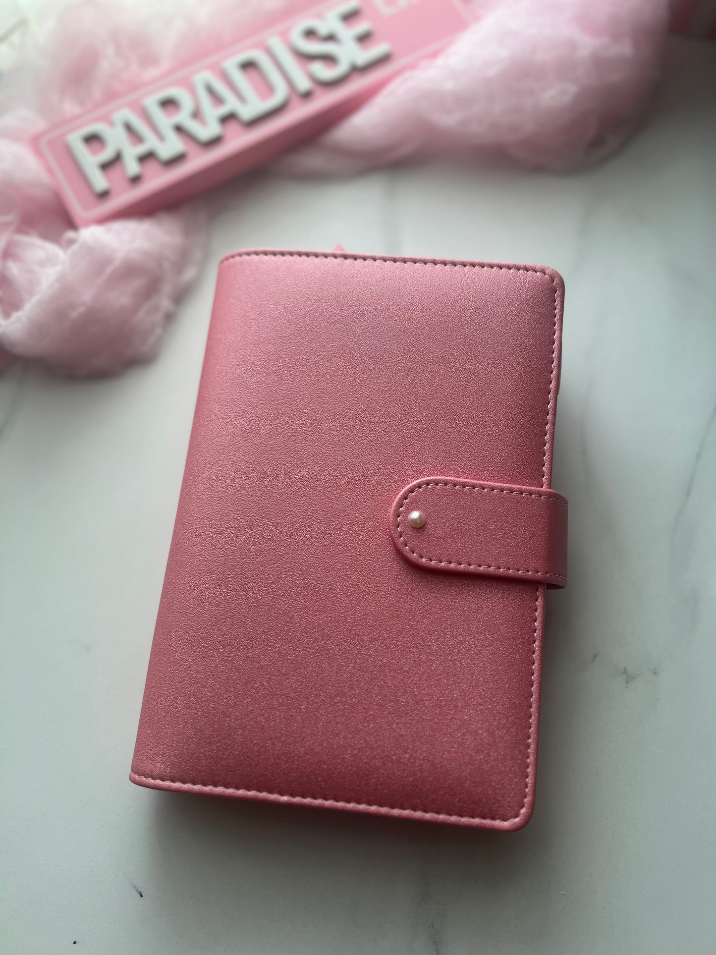 Month Ahead Savings Binder