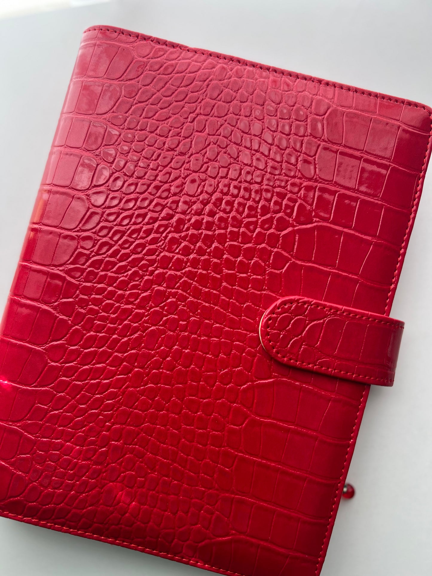 Emergency Fund Savings Binder